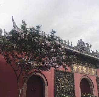 沐鸣娱乐：助力公益活动建设，实现经济效益与社会效益的双赢！